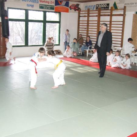 Nagyobb kép megtekintése