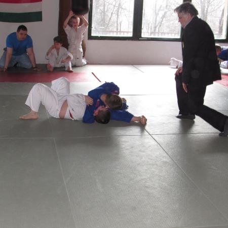 Nagyobb kép megtekintése