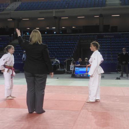 Nagyobb kép megtekintése